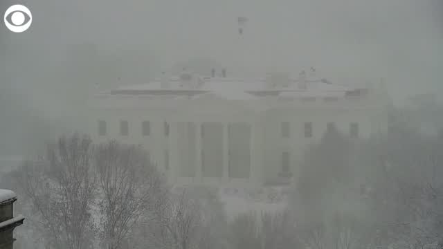 Video: Snowstorm Hits Washington, D.c.