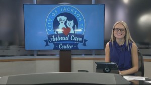 Shuggs Dog Of The Week