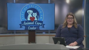 Evie Animal Care Center Dog Of Week