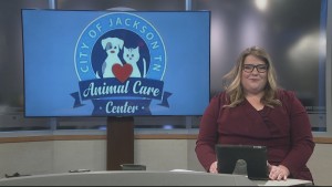 Pet Of The Week Duece