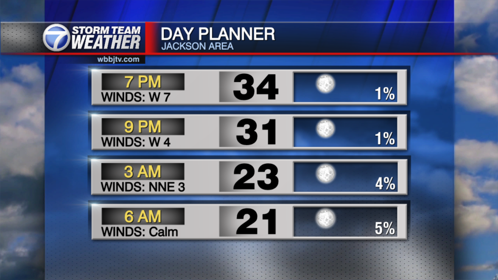 Planner Horizontal Morning Sat Record