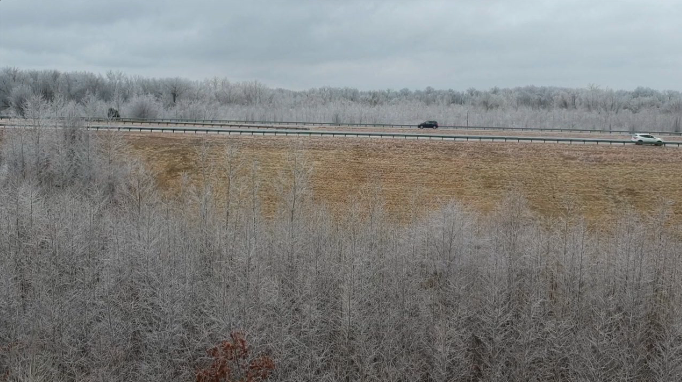 Gibson County Ice 020422 2