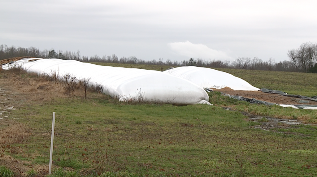 Greenfield Grain Bag