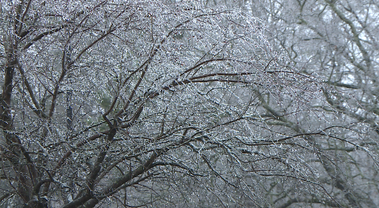 Screen Shot 2022 02 03 At 103155 Pm