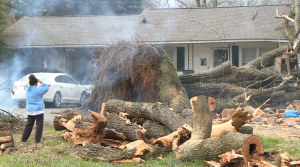 Huntingdon Residents Look Back On Wednesday Storm 3