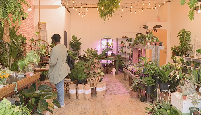 New Plant Store Opens In Downtown Jackson
