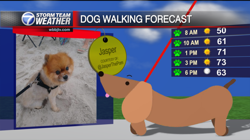 Dog Walking Forecast