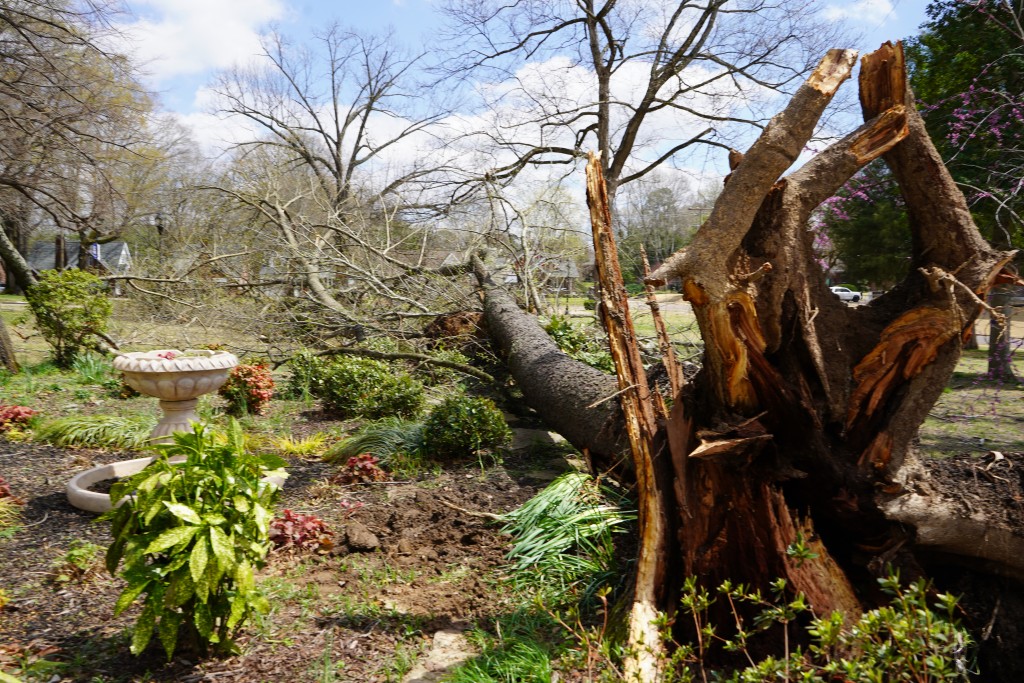 Lambuth Area Damage 3