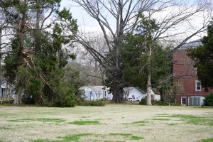 Lambuth Area Damage 10