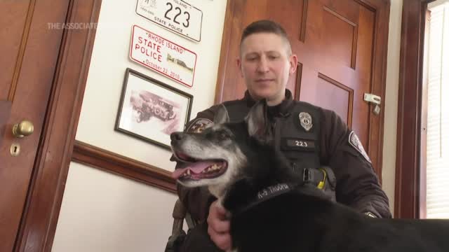 This Tale Wags The Dog: 'rescued By Ruby' Tells K 9's Story