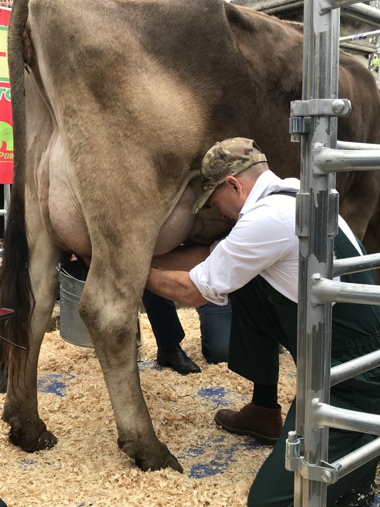 Ag Commissioner Hatcher Milking Contest