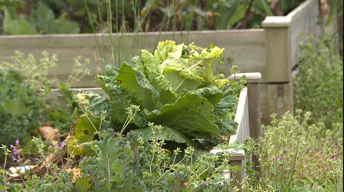Residents prep for third year of community gardening