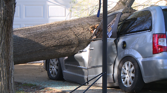 Strong Winds Leaves Behind Damage In Savannah 9