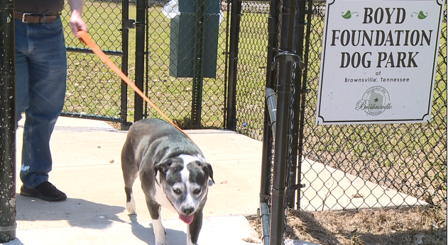 Dog Park Now Open In Brownsville 1