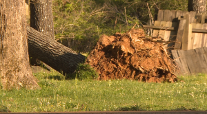 Strong Winds Leaves Behind Damage In Savannah 5