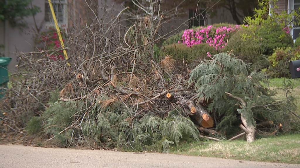 Debris Pickup To Begin In Jackson On April 18 1