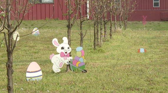 Falcon Ridge Farms Hosts Easter Egg Hunts
