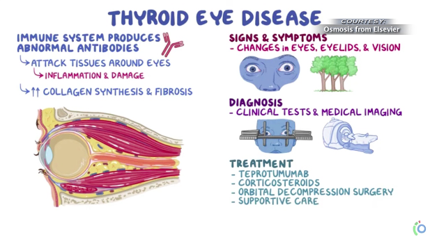 Screen Shot 2022 05 23 At 63156 Pm