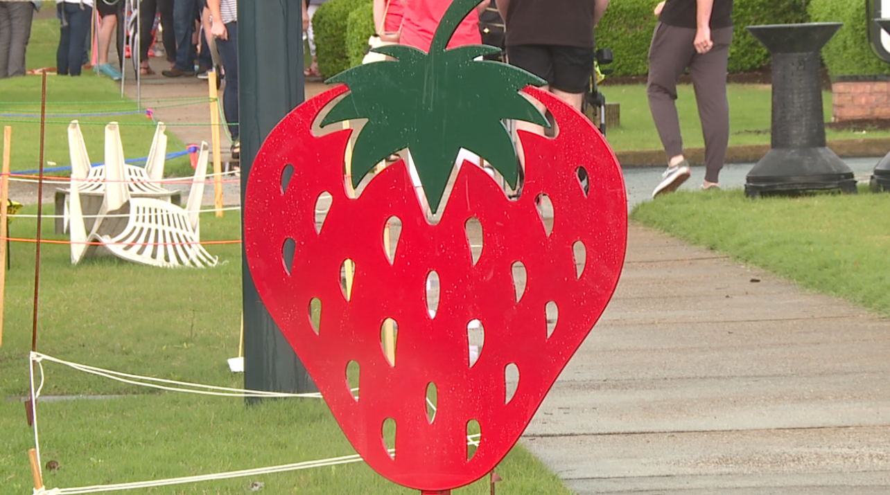 84th Humboldt Strawberry Festival officially begins WBBJ TV