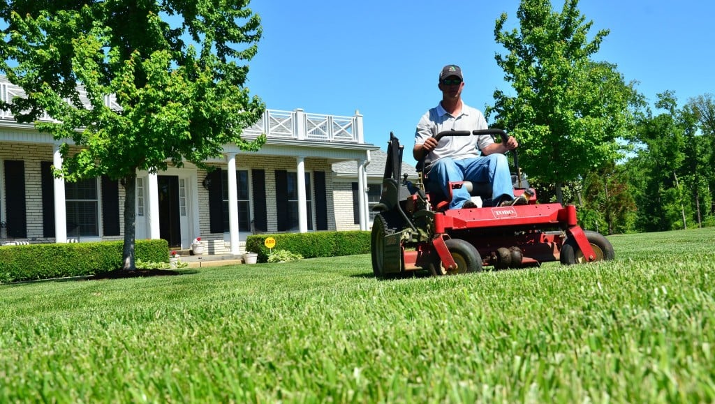 lawn care
