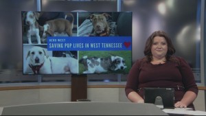 Pet Of The Week Ollie