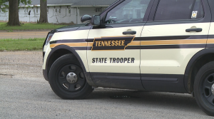 Thp 1