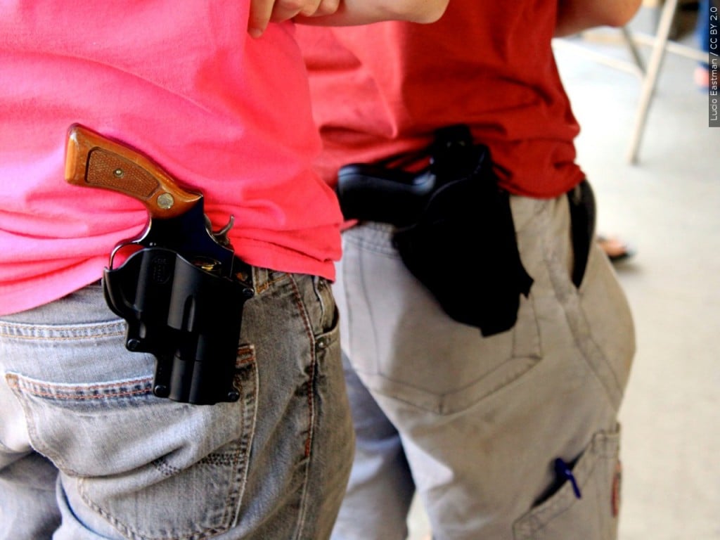 gun rights