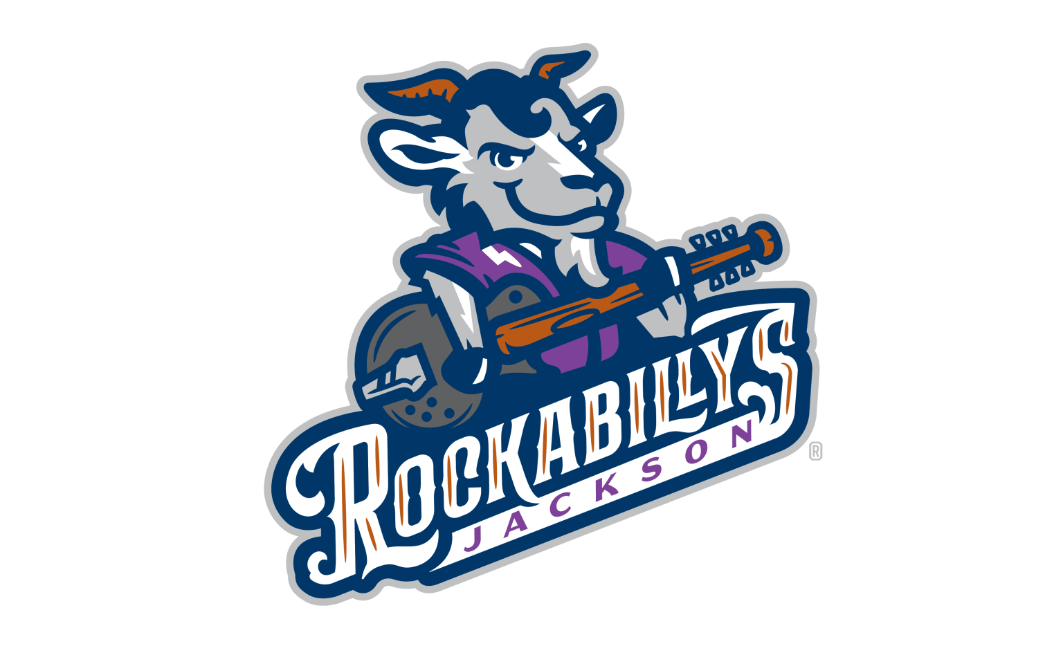 The Jackson Rockabillys New baseball team name revealed WBBJ TV