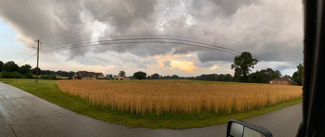 Jennifer At The Gibson Madison County Line