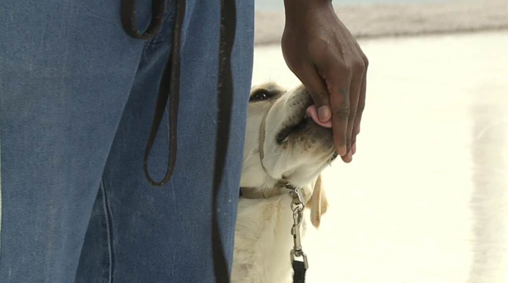 Inmates Help Turn Puppies Into Graduates At Whiteville Facility 3