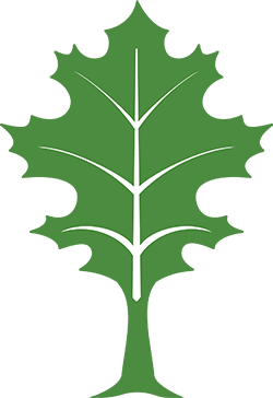 Foundation2