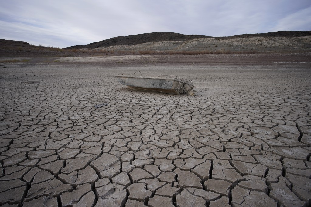 Lake Mead Body Found