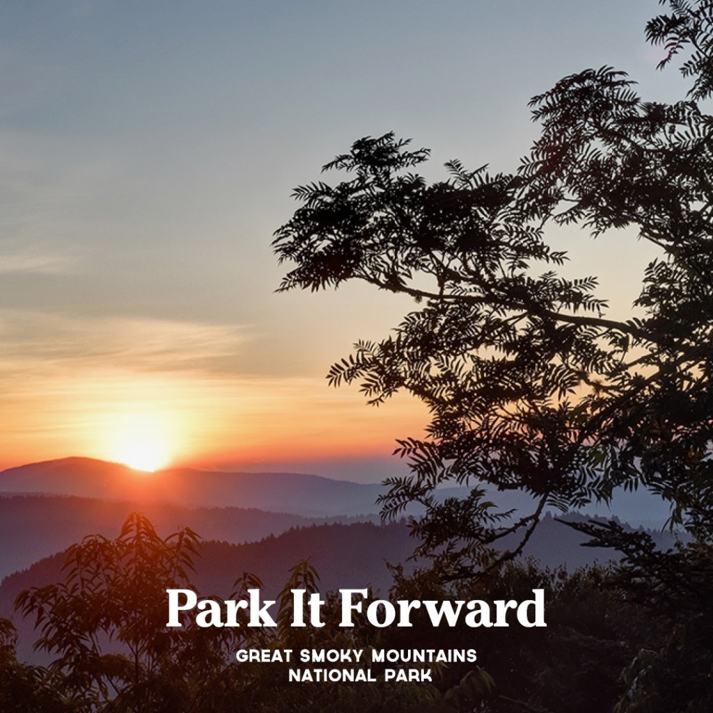Park It Forward