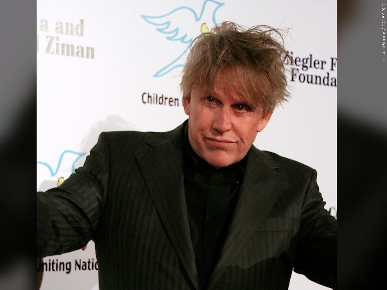 Gary Busey charged with sex offenses at Monster-Mania Con - WBBJ TV