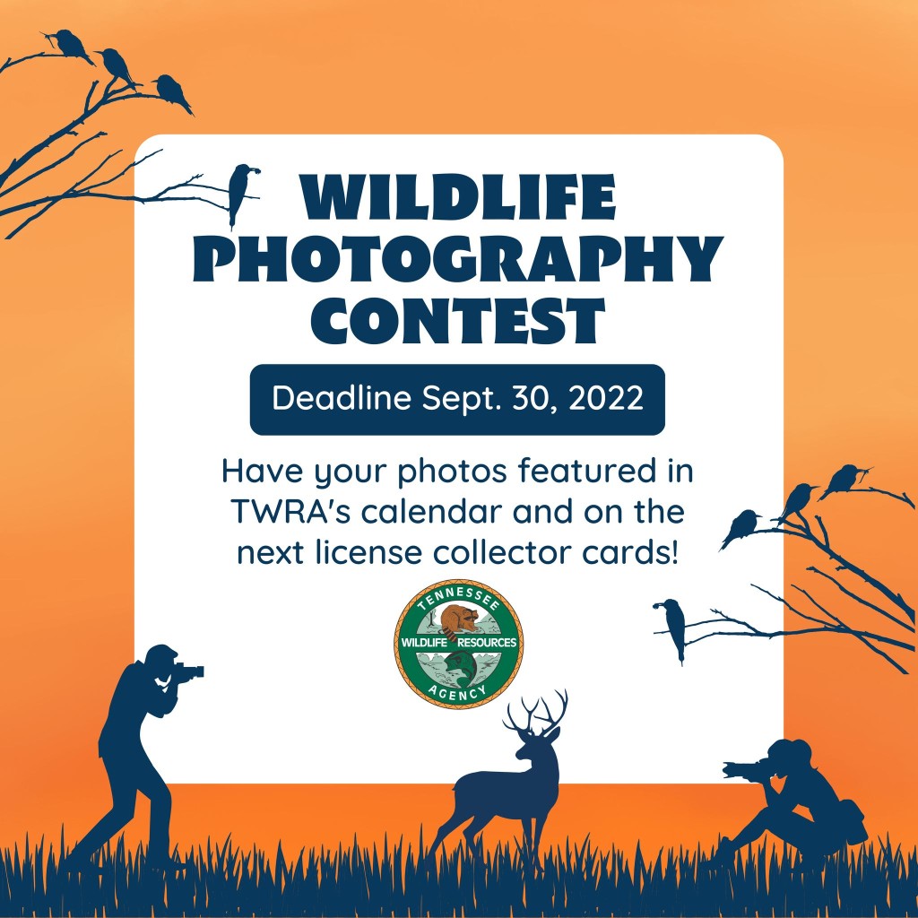 Twra 2023 Photo Contest Image From Facebook