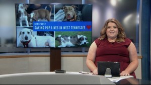 Pet Of Week Winston