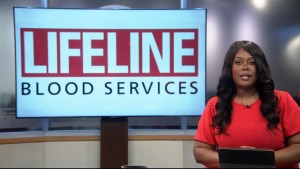 Lifetime Anniversary Vosot