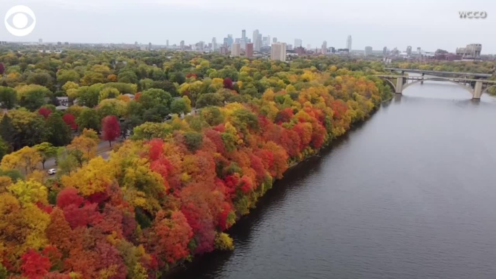 Fall Along The Mississippi River