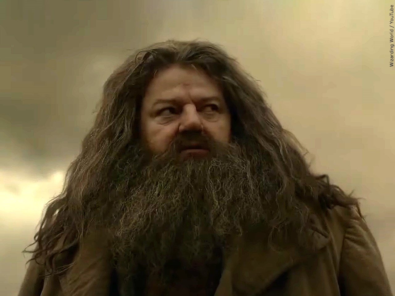 Hagrid Actor