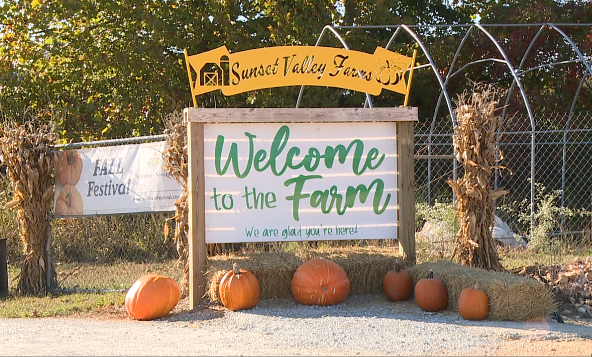 Farms