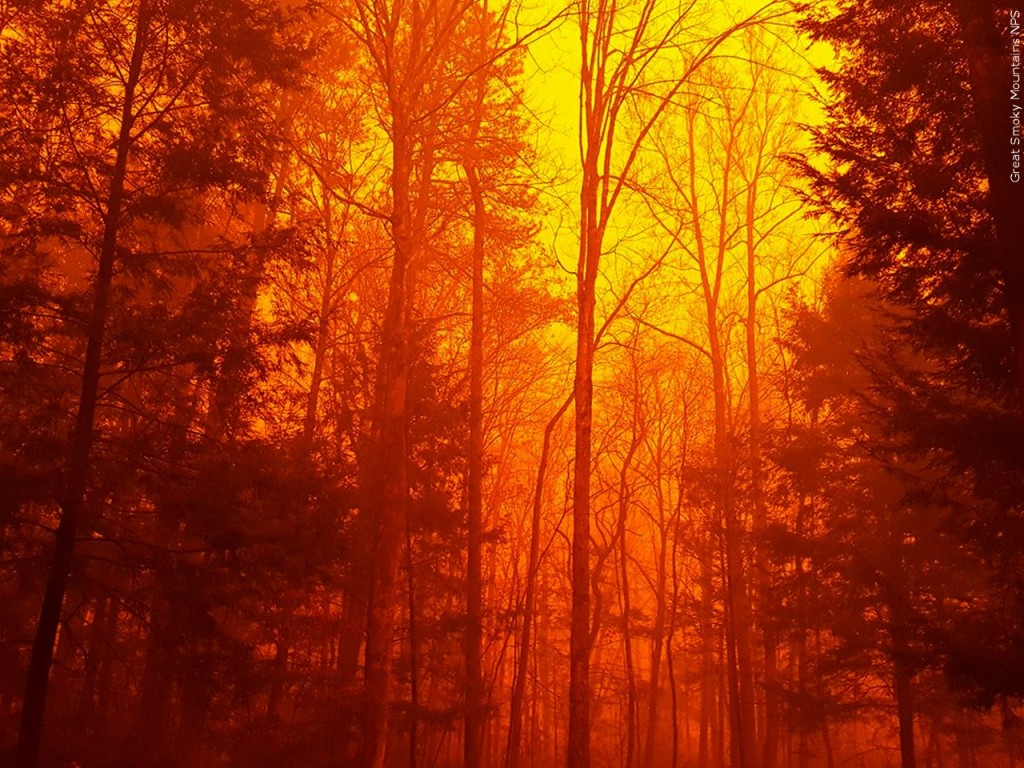 fire