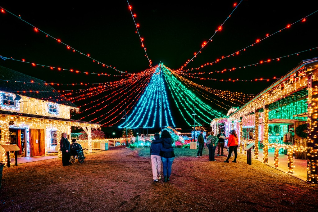light show