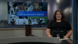 Pet Of The Week Jennings And June
