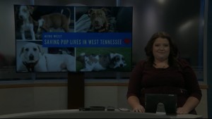 Pet Of Week June And Jennings