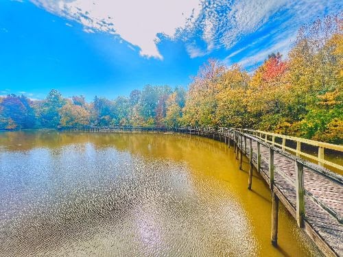 Cypress Grove Nature Park reopens after months of repairs - WBBJ TV