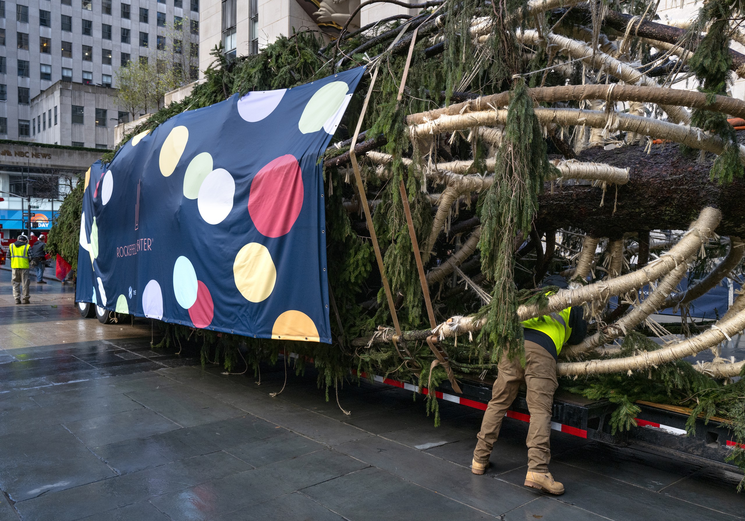 It's here! 2022 Rockefeller Center Christmas tree arrives in NYC