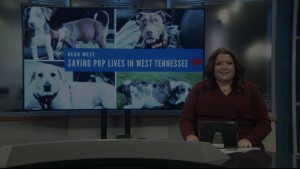Pet Of Week Gracie Mae