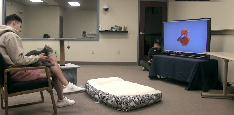 Pet Food Company Launches Ads Aimed At Pets 1