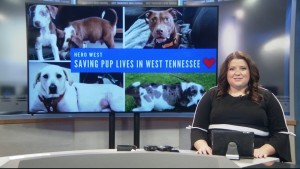 Pet Of Week Charlee