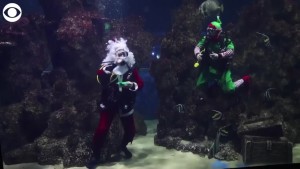 Scuba Santa